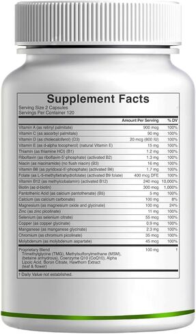 DEAL SUPPLEMENT Methylated Multivitamin for Men & Women, 240 Capsules | 100% DV Vitamins & Minerals | Activated B-Complex & Chelated Minerals, with CoQ10, TMG & ALA | Non-GMO, cGMP Manufactured in Saudi Arabia