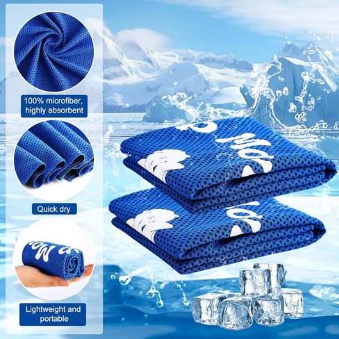 HunnmingRe 30 Pack Cooling Towels Bulk 40" x 12", Soft Quick Dry Microfiber Sweat Rag for Neck and Face, Inspirational Towel Gift for Football Team Workout, Swimming, Gym, Running, Yoga and Sports in Saudi Arabia
