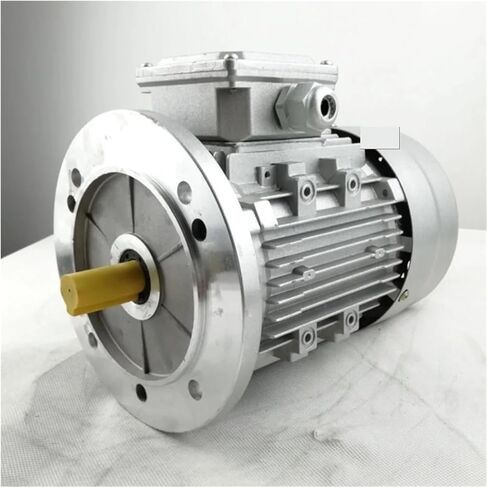 Asynchronous Motor Vertical B5 TC5622 Single Phase asynchronous 220v 50hz 0.12kw 1320rpm in Saudi Arabia