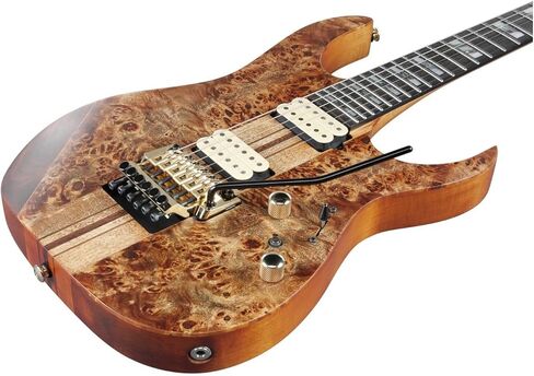 Ibanez RGT1220PB Premium Electric Guitar - Antique Brown Stained in Saudi Arabia