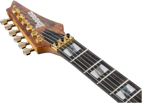 Ibanez RGT1220PB Premium Electric Guitar - Antique Brown Stained in Saudi Arabia