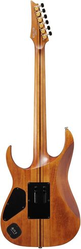 Ibanez RGT1220PB Premium Electric Guitar - Antique Brown Stained in Saudi Arabia