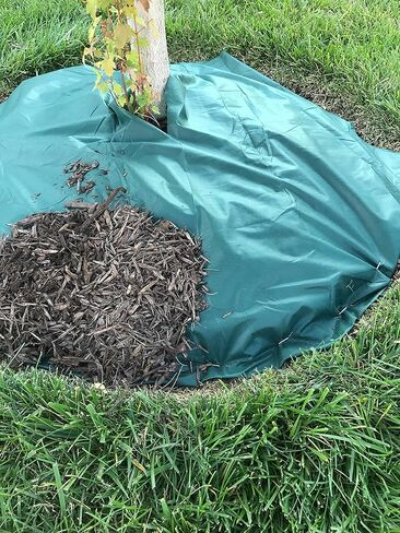 دبابيس المناظر الطبيعية (50 قطعة) - دبابيس سياج مجلفنة شديدة التحمل مضادة للصدأ لنسيج حاجز الأعشاب، غطاء أرضي، أنابيب الري، 13 مقياس، 50 قطعة in Kuwait