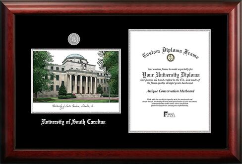 Campus Images NCAA South Carolina Fighting Gamecocks Unisex Silver Medallion Frame University of South Carolina 11w x 14h Silver Embossed Diploma Frame Lithograph, Brown, One Size in Saudi Arabia