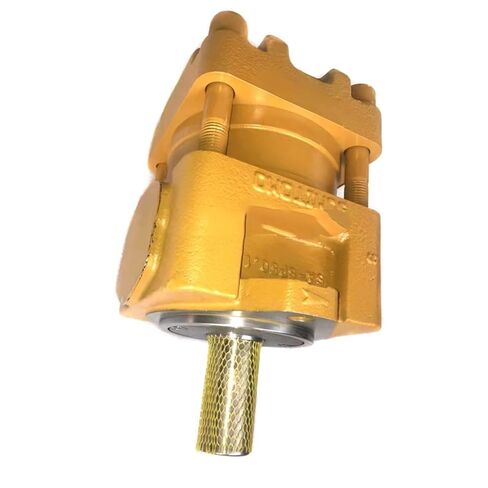 Hydraulic Gear Pump QT52 Hydarulic Oil Pumps QT52-50F-BP-Z QT52-50F-Z High Pressure Internal for Injection Molding Machine in Kuwait