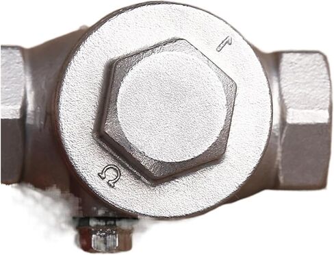 Stainless Steel DN15 DN20 DN25 PN16 CF8M Female Threaded Check Valve High Pressure Swing Check Valve 200PSI(1/2") in Kuwait