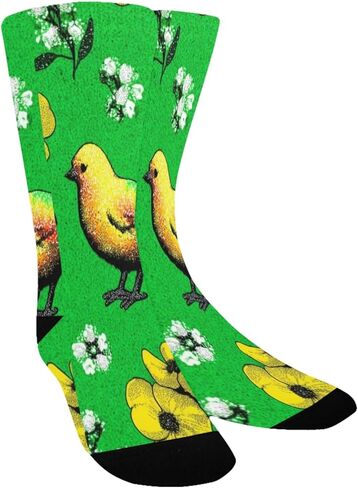 Art Green Rainbow Chick Hiking Socks - Toddler Boys & Girls Warm Thick Thermal Winter Crew Socks for School, Daily Wear & Outdoor Activities in Kuwait