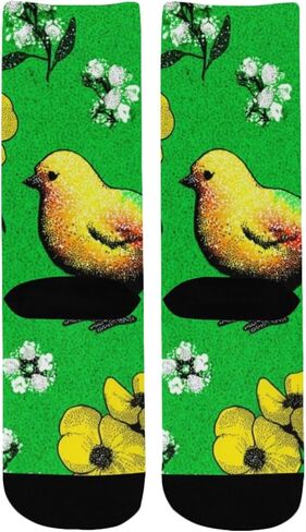 Art Green Rainbow Chick Hiking Socks - Toddler Boys & Girls Warm Thick Thermal Winter Crew Socks for School, Daily Wear & Outdoor Activities in Kuwait