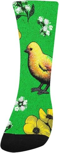 Art Green Rainbow Chick Hiking Socks - Toddler Boys & Girls Warm Thick Thermal Winter Crew Socks for School, Daily Wear & Outdoor Activities in Kuwait