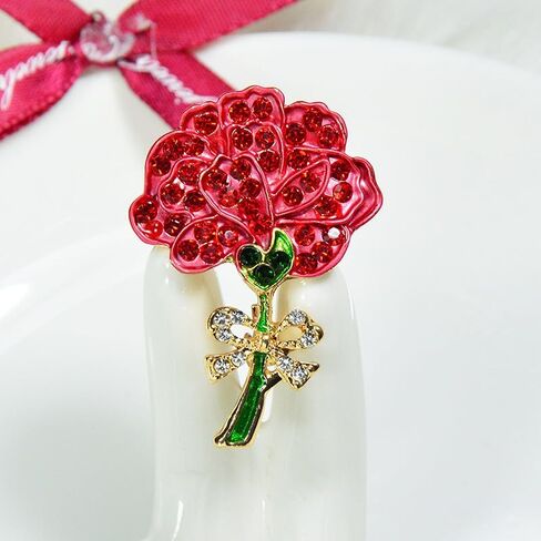 Enamel Red Carnation Flower Brooch Flower Brooches Badge Pin Carnation Rhinestone Brooch Pin Breastpin Jewelry Accessories Gift for Mother's Day Jewelry Pins For Mom Girlfriend Wife, Metal, no in Kuwait