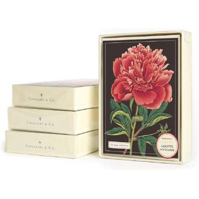 Botanical Boxed Note Cards