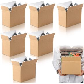 Insulated Shipping Box Cold Chill Double Insulated Carton with Foil Foam Cooler Boxes Delivery Moving Kits Foam Shipping Containers for Mailing Packing, Box Inside 8'' x 4''x 5'' (10)