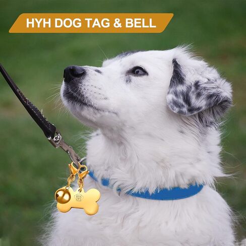HYH 18K Pet ID Tag & Bell, Stainless Steel Engraved Deeply Personalized Dog Tags and Cat Tags Dog Bell, Funny Birthday Christmas Gifts for Kitten Puppy Rabbit Monkey and All Pets in Saudi Arabia