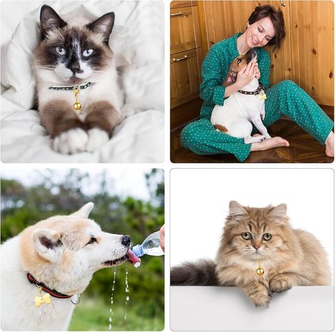 HYH 18K Pet ID Tag & Bell, Stainless Steel Engraved Deeply Personalized Dog Tags and Cat Tags Dog Bell, Funny Birthday Christmas Gifts for Kitten Puppy Rabbit Monkey and All Pets in Saudi Arabia