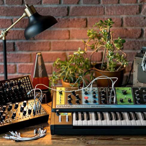 Moog Grandmother Semi-Modular Analog Keyboard Synthesizer in Saudi Arabia