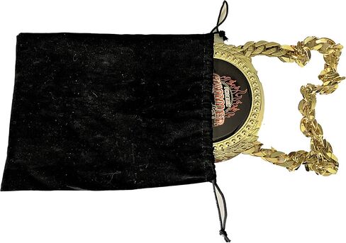 Express Medals Poker Texas Holdem Champ Chain Trophy Award with a Center Plaque Plate Measuring 6 by 5.25 Inches and Includes a 34 Inch Chain with Black Velvet Presentation Bag. in Saudi Arabia