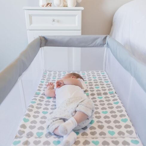 Regalo Baby Basics Infant Bassinet with Canopy, Award Winning Brand, Quick fold and Easy Setup, Removable Pad, See-Through Mesh, Bed-Side Bassinet, Gray in Kuwait