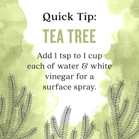 Aura Cacia Tea Tree Essential Oil 16 fl. oz. in Saudi Arabia