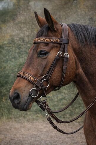 Horse Western Leather Bitless Sidepull Bridle Split Reins 77RS29BR in Saudi Arabia