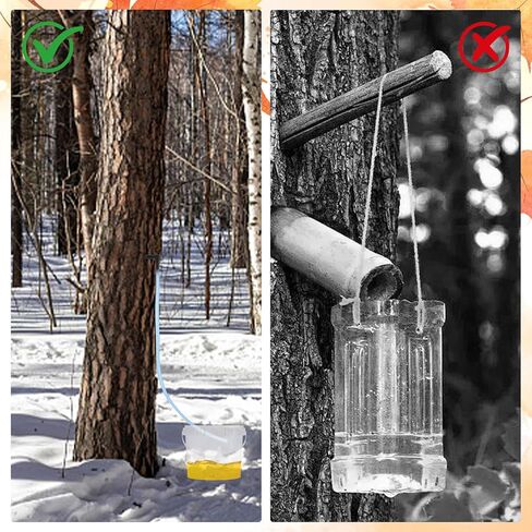 5 Sets Maple Syrup Tapping Kit Including 5 Buckets (5L) with Lid, 30ft Tubing, 10 Tree Taps, 1 Tap & Drill Bit Maple Tree Tapping Kit for Experts or Beginners Maple Birch Syrup Collection Supplies in Kuwait