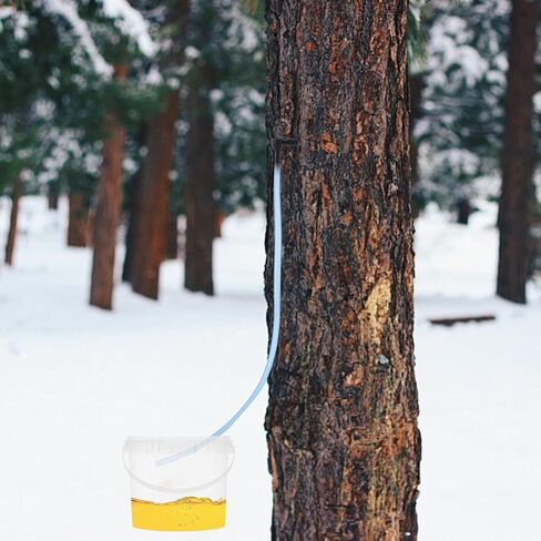 5 Sets Maple Syrup Tapping Kit Including 5 Buckets (5L) with Lid, 30ft Tubing, 10 Tree Taps, 1 Tap & Drill Bit Maple Tree Tapping Kit for Experts or Beginners Maple Birch Syrup Collection Supplies in Kuwait