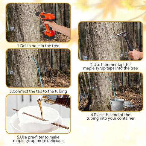 6 مجموعات من أدوات التنصت على شراب القيقب - 6 خطافات وخطاطيف لصنبور القيقب غير القابل للصدأ، 6 أنابيب، فرشتا تنظيف، 6 مرشحات، مجموعة كاملة للتنصت على شجرة القيقب لمستلزمات صنبور شراب القيقب للاستخدام المنزلي in Kuwait