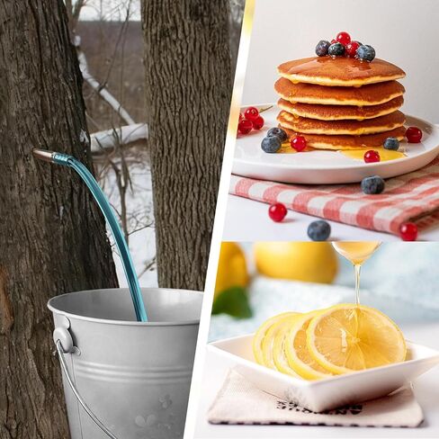 6 مجموعات من أدوات التنصت على شراب القيقب - 6 خطافات وخطاطيف لصنبور القيقب غير القابل للصدأ، 6 أنابيب، فرشتا تنظيف، 6 مرشحات، مجموعة كاملة للتنصت على شجرة القيقب لمستلزمات صنبور شراب القيقب للاستخدام المنزلي in Kuwait