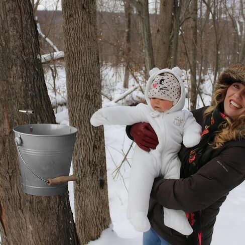 6 مجموعات من أدوات التنصت على شراب القيقب - 6 خطافات وخطاطيف لصنبور القيقب غير القابل للصدأ، 6 أنابيب، فرشتا تنظيف، 6 مرشحات، مجموعة كاملة للتنصت على شجرة القيقب لمستلزمات صنبور شراب القيقب للاستخدام المنزلي in Kuwait