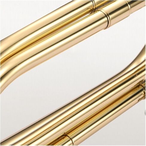 B-Flat Bugle Trumpet - Brass Military School Band Instrument, for School Band Cavalry Beginner Orchestra (03) in Saudi Arabia