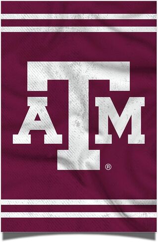Desert Cactus Texas A&M University Poster Aggies TAMU 11 x 17 Inch Room Office Décor Decoration Official Fan Gear (11x17,Version 3) in Saudi Arabia