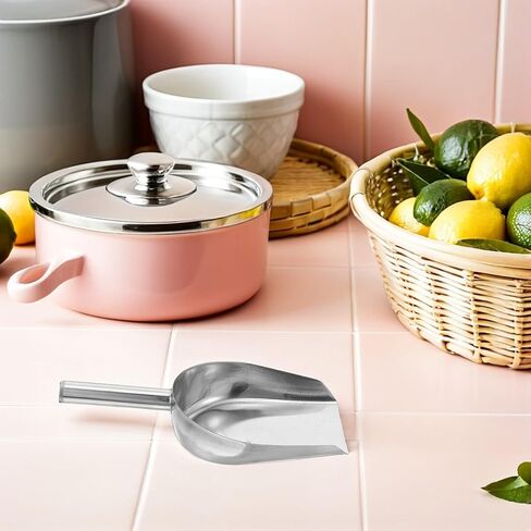 Stainless Steel Ice Cube Shovel 9.84In Flat Bottom Food Scoop for Kitchen Bar Beans Flour Candy Multipurpose Small Metal Shovel in Saudi Arabia