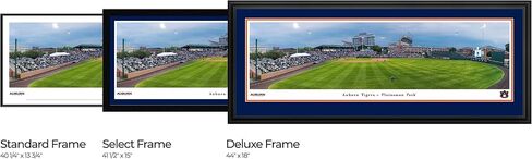 Auburn Tigers Baseball - 40.25x13.75-inch Standard Framed Print by Blakeway Panoramas in Saudi Arabia