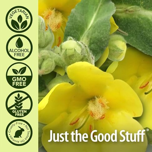 إجابة الطبيعة Mullein X Kids Throat Spray 2oz - خالي من الغلوتين، نباتي، خالي من الكحول، غير معدل وراثيا، يزيل المخاط، يهدئ الحلق المتهيج، صنع في الولايات المتحدة الأمريكية - دعم للأطفال والصغار - حجم السفر in Kuwait