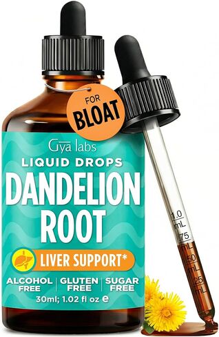 Gya Labs Dandelion Root Extract Liquid Drops For Liver Health and Rejuvenation - Herbal Extract Supports Digestive Balance with Holistic Wellness - Pure Dandelion Root, Non-GMO, Gluten Free - 1 fl oz in Saudi Arabia