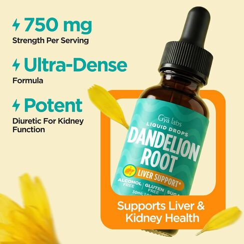 Gya Labs Dandelion Root Extract Liquid Drops For Liver Health and Rejuvenation - Herbal Extract Supports Digestive Balance with Holistic Wellness - Pure Dandelion Root, Non-GMO, Gluten Free - 1 fl oz in Saudi Arabia