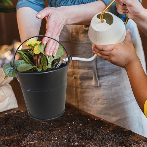 24 Packs Mini Metal Buckets with Handles,5 x 3.5 x 4.7 Inch Black Mini Iron Pail Small Galvanized Tin Pails for Events, Classroom, School Storage, Succulents, Rustic Home Decor in Kuwait