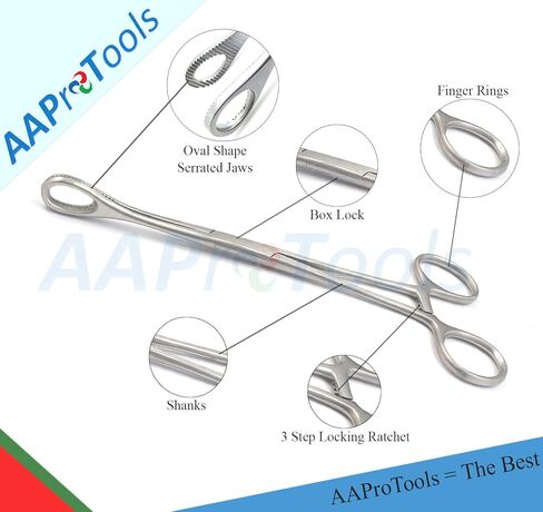 Forester (Sponge) Steel Forceps - 6.5 Inch Long - 13mm Round Head in Saudi Arabia