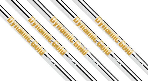 TRUE TEMPER Dynamic Gold 120 Iron Shafts 5-PW, Set of 6 Shafts - .355 Taper Tip (Choose Flex) in Saudi Arabia