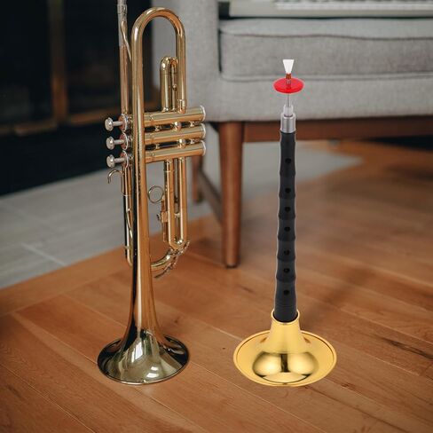 Toyvian Traditional Chinese Suona Instrument for Beginners, Resin Ebony Style Suona with Gold-plated Bell, High Strength Anti-corrosion Woodwind Instrument for Folk Music Practice in Saudi Arabia