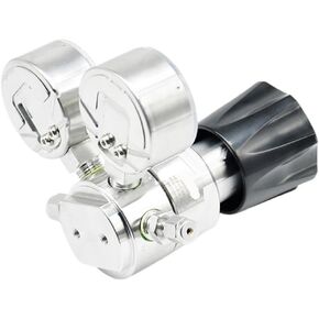 1PCS Stainless Steel Single Stage 1/4"NPT Industrial Gas Pressure Regulator in Saudi Arabia
