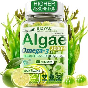 Algae Gummies, Omega 3 Gummies 2200mg from Algae Oil | DHA 640mg & EPA 290mg| Vegan | for Women & Men | CoQ10 | Astaxanthin | Vitamin A, E, D3 for Brain, Eye, Antioxidant, Sugar Free, 1Pack in Kuwait