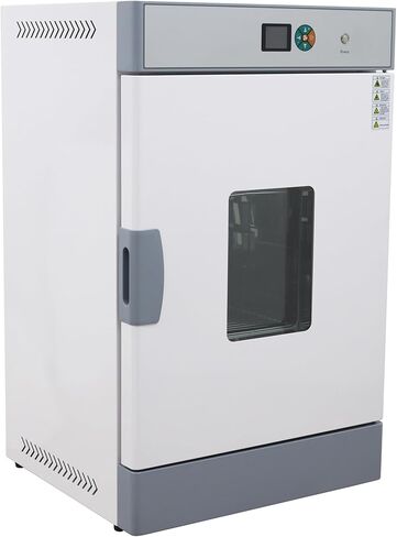 Electric Blast Drying Oven Lab Digital Forced Air Convection Drying Oven 304 Stainless Steel Chamber 210L Inner Volume 3KW 220V in Kuwait