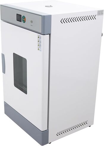 Electric Blast Drying Oven Lab Digital Forced Air Convection Drying Oven 304 Stainless Steel Chamber 210L Inner Volume 3KW 220V in Kuwait