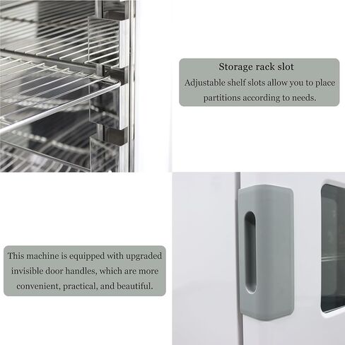 Electric Blast Drying Oven Lab Digital Forced Air Convection Drying Oven 304 Stainless Steel Chamber 210L Inner Volume 3KW 220V in Kuwait