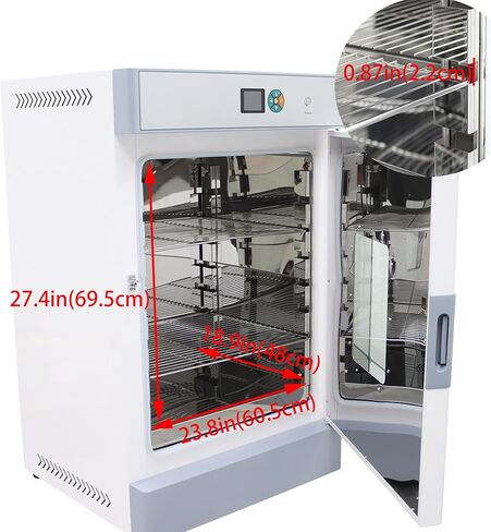 Electric Blast Drying Oven Lab Digital Forced Air Convection Drying Oven 304 Stainless Steel Chamber 210L Inner Volume 3KW 220V in Kuwait