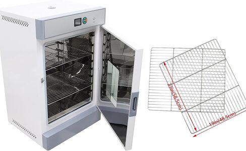 Electric Blast Drying Oven Lab Digital Forced Air Convection Drying Oven 304 Stainless Steel Chamber 210L Inner Volume 3KW 220V in Kuwait