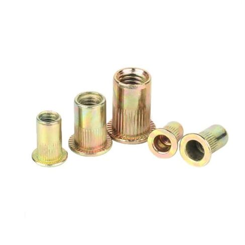 غسالات Qinlu-Washers M3 صواميل برشام من الفولاذ الكربوني اللون مطلية بالزنك برأس مسطح وصواميل برشام عمياء، 1000 قطعة، لإصلاح المصانع in Kuwait