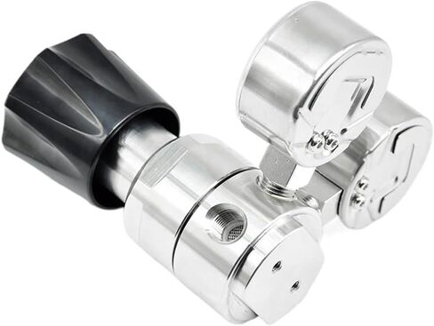 1PCS Stainless Steel 1/4"NPT Nitrogen Pressure Regulator with Panel Mount in Saudi Arabia