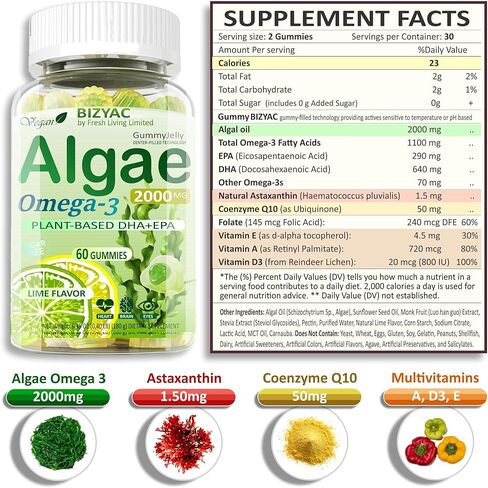 Algae Gummies, Omega 3 Gummies 2200mg from Algae Oil | DHA 640mg & EPA 290mg| Vegan | for Women & Men | CoQ10 | Astaxanthin | Vitamin A, E, D3 for Brain, Eye, Antioxidant, Sugar Free, 1Pack in Kuwait
