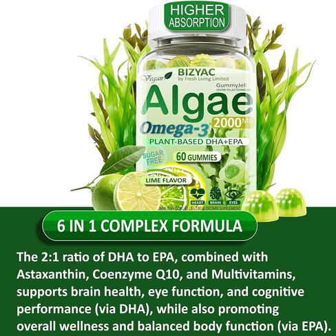 Algae Gummies, Omega 3 Gummies 2200mg from Algae Oil | DHA 640mg & EPA 290mg| Vegan | for Women & Men | CoQ10 | Astaxanthin | Vitamin A, E, D3 for Brain, Eye, Antioxidant, Sugar Free, 1Pack in Kuwait